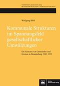 Blöß |  Kommunale Strukturen im Spannungsfeld gesellschaftlicher Umwälzungen | Buch |  Sack Fachmedien