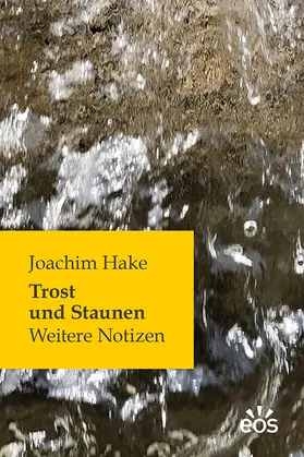 Hake |  Trost und Staunen | Buch |  Sack Fachmedien