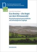 Raile / Rieken |  Eco Anxiety - die Angst vor dem Klimawandel | eBook | Sack Fachmedien