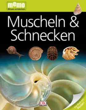 Arthur |  Muscheln & Schnecken | Buch |  Sack Fachmedien