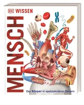 DK Verlag - Kids |  Wissen - Mensch | Buch |  Sack Fachmedien