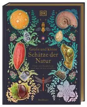 DK Verlag - Kids / Hoare |  Große und kleine Schätze der Natur. Große und kleine Schätze der Natur | Buch |  Sack Fachmedien