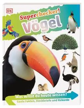 Hoare |  Superchecker! Vögel | Buch |  Sack Fachmedien