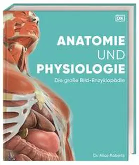 Roberts |  Anatomie und Physiologie | Buch |  Sack Fachmedien