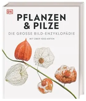 Boddy / Clennett / Farndon |  DK Bibliothek. Pflanzen & Pilze | Buch |  Sack Fachmedien