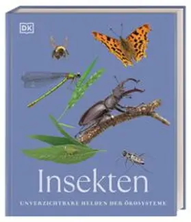 DK Verlag |  Insekten | Buch |  Sack Fachmedien
