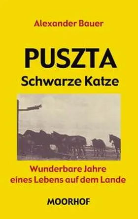 Bauer |  Puszta - Schwarze Katze | Buch |  Sack Fachmedien