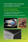 Wissdorf / Jerbi / Fürst |  Unterschiede in der Anatomie von Esel/Muli und Pferd | eBook | Sack Fachmedien