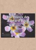 Maier |  Edition Tirta: Kartenset - Die Blüten des Edward Bach | Buch |  Sack Fachmedien