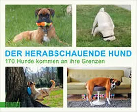  Der herabschauende Hund | Buch |  Sack Fachmedien
