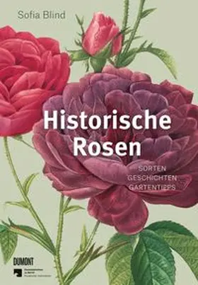 Blind |  Historische Rosen | Buch |  Sack Fachmedien