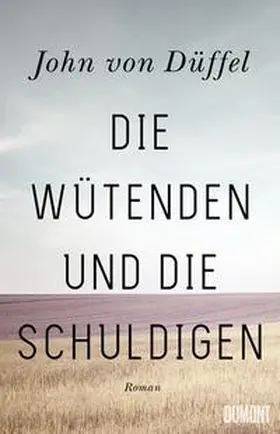 Düffel | Die Wütenden und die Schuldigen | Buch | 978-3-8321-8163-5 | www.sack.de