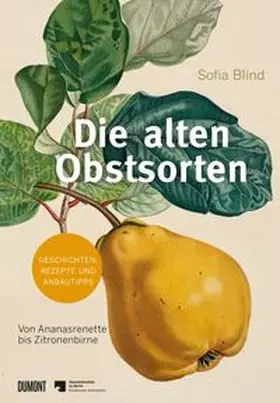 Blind |  Die alten Obstsorten | Buch |  Sack Fachmedien