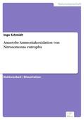 Schmidt |  Anaerobe Ammoniakoxidation von Nitrosomonas eutropha | eBook | Sack Fachmedien