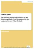 Brandt |  Die Fortführungswertproblematik in der Discounted-Cash-Flow-Methode und in der Adjusted-Present-Value-Methode | eBook | Sack Fachmedien