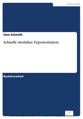 Schmidt | Schnelle modulare Exponentiation | E-Book | sack.de