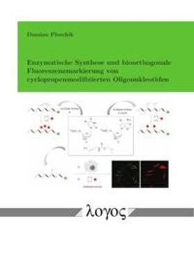 Ploschik | Enzymatische Synthese und bioorthogonale Fluoreszenzmarkierung von cyclopropenmodifizierten Oligonukleotiden | Buch | 978-3-8325-4789-9 | sack.de