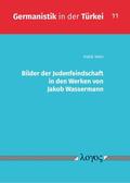 Tekin |  Bilder der Judenfeindschaft in den Werken von Jakob Wassermann | Buch |  Sack Fachmedien