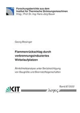 Blesinger |  Flammenrückschlag durch verbrennungsinduziertes Wirbelaufplatzen. | Buch |  Sack Fachmedien