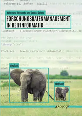 Biernacka / Schulz |  Forschungsdatenmanagement in der Informatik | Buch |  Sack Fachmedien