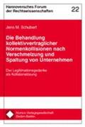 Schubert |  Die Behandlung kollektivvertraglicher Normenkollisionen nach Verschmelzung und Spaltung von Unternehmen | Buch |  Sack Fachmedien