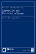 Caruso / Fuchs |  Labour Law and Flexibility in Europe | Buch |  Sack Fachmedien