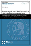 Samsel |  Regulierung der polnischen Gaswirtschaft unter Transformationsbedingungen | Buch |  Sack Fachmedien