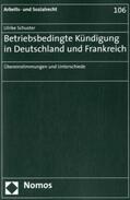 Schuster |  Schuster, U: Betriebsbed. Kündigung i.Dt. | Buch |  Sack Fachmedien