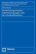 Wimmer |  Wimmer, K: Befristung einzelner Arbeitsbedingungen | Buch |  Sack Fachmedien
