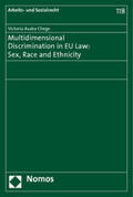 Chege |  Chege, V: Multidimensional Discrimination in EU Law | Buch |  Sack Fachmedien