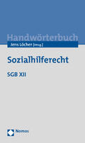Löcher |  Handwörterbuch Sozialhilferecht | Buch |  Sack Fachmedien