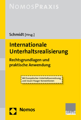 Schmidt / Boehm / Faetan |  Internationale Unterhaltsrealisierung | Buch |  Sack Fachmedien