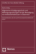 Zeibig / Brandl, geb. Zeibig |  Zeibig, N: Allgemeiner Kündigungsschutz | Buch |  Sack Fachmedien