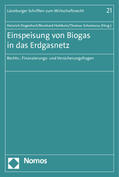 Degenhart / Hohlbein / Schomerus |  Einspeisung von Biogas in das Erdgasnetz | Buch |  Sack Fachmedien