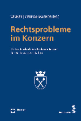 Winner / Cierpial-Magnor | Rechtsprobleme im Konzern | Buch | sack.de