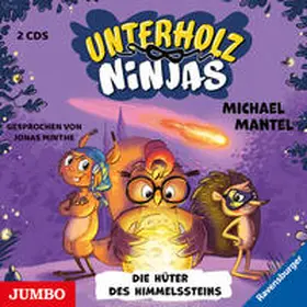 Mantel |  Die Unterholz-Ninjas. Die Hüter des Himmelssteins | Sonstiges |  Sack Fachmedien