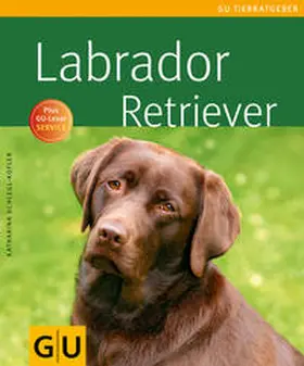 Schlegl-Kofler |  Labrador Retriever | Buch |  Sack Fachmedien