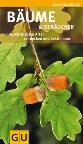 Hofmann |  Bäume und Sträucher | Buch |  Sack Fachmedien