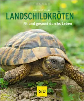 Wilke |  Landschildkröten | Buch |  Sack Fachmedien