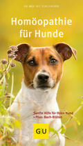 Fischer |  Homöopathie für Hunde | Buch |  Sack Fachmedien
