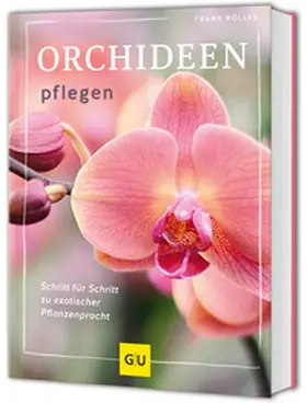 Röllke | Orchideen pflegen | Buch | 978-3-8338-9677-4 | www.sack.de