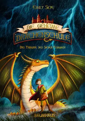 Skye |  Die geheime Drachenschule - Das Tribunal der Sieben Flammen | Buch |  Sack Fachmedien