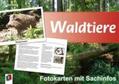 Jung |  Waldtiere - Fotokarten mit Sachinfos | Sonstiges |  Sack Fachmedien