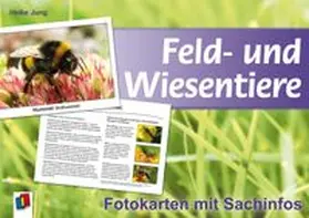 Jung |  Feld- und Wiesentiere - Fotokarten mit Sachinfos | Sonstiges |  Sack Fachmedien