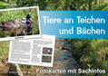Jung |  Tiere an Teichen und Bächen - Fotokarten mit Sachinfos | Sonstiges |  Sack Fachmedien