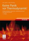 Labuhn / Romberg |  Keine Panik vor Thermodynamik! | Buch |  Sack Fachmedien
