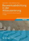 Weber / Hafkesbrink |  Bauwerksabdichtung in der Altbausanierung | Buch |  Sack Fachmedien