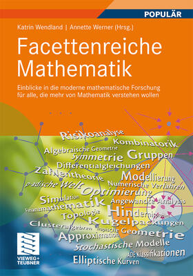 Werner / Wendland | Facettenreiche Mathematik | Buch | 978-3-8348-1414-2 | sack.de