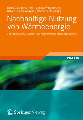 Renn / Wassermann / Gallego Carrera | Nachhaltige Nutzung von Wärmeenergie | Buch | 978-3-8348-1864-5 | sack.de