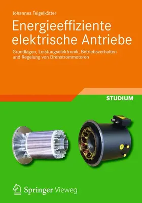 Teigelkötter |  Energieeffiziente elektrische Antriebe | Buch |  Sack Fachmedien